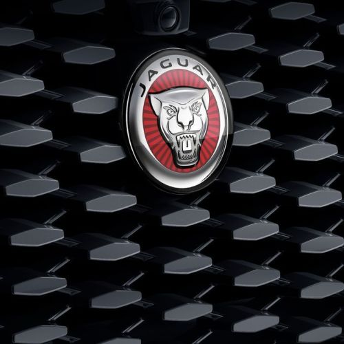 Jaguar Car Logo Price